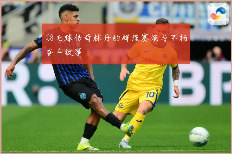 羽毛球传奇林丹的辉煌赛场与不朽奋斗故事